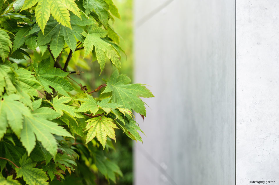 Timeless minimalism: the modern garden shed with an elegant concrete look