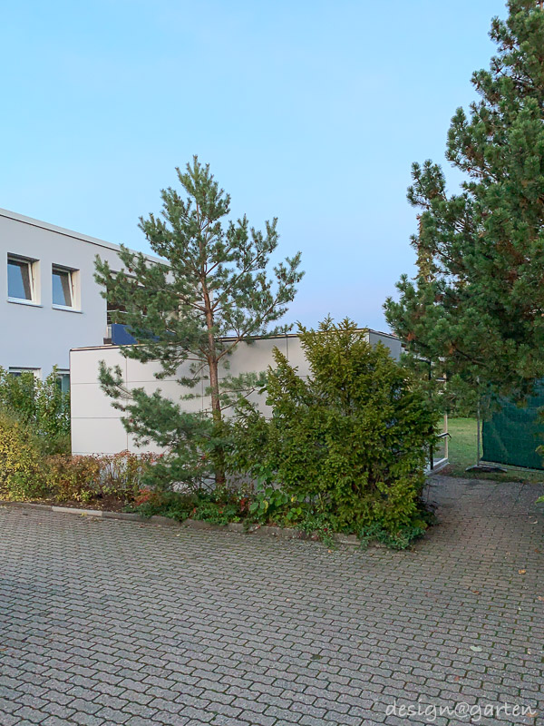 Multifunctional multi-room concepts as a structured replacement for basements in outdoor areas