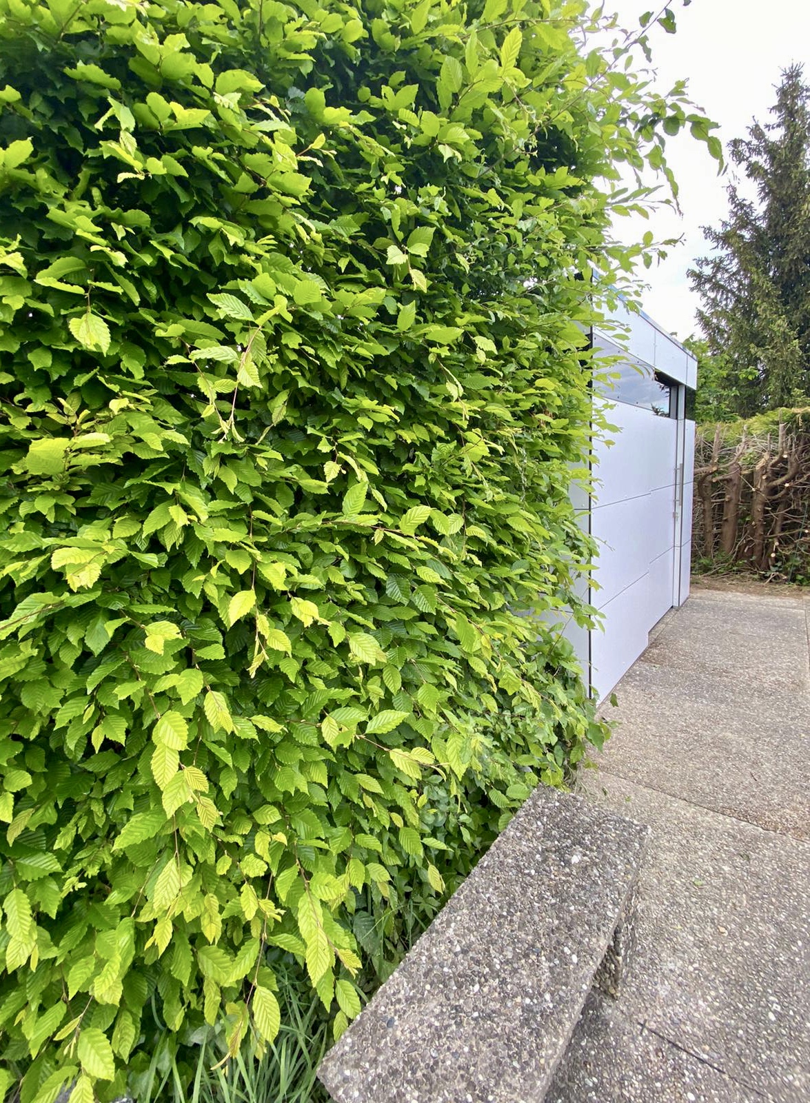 HPL garden shed: timeless design and functional transparency