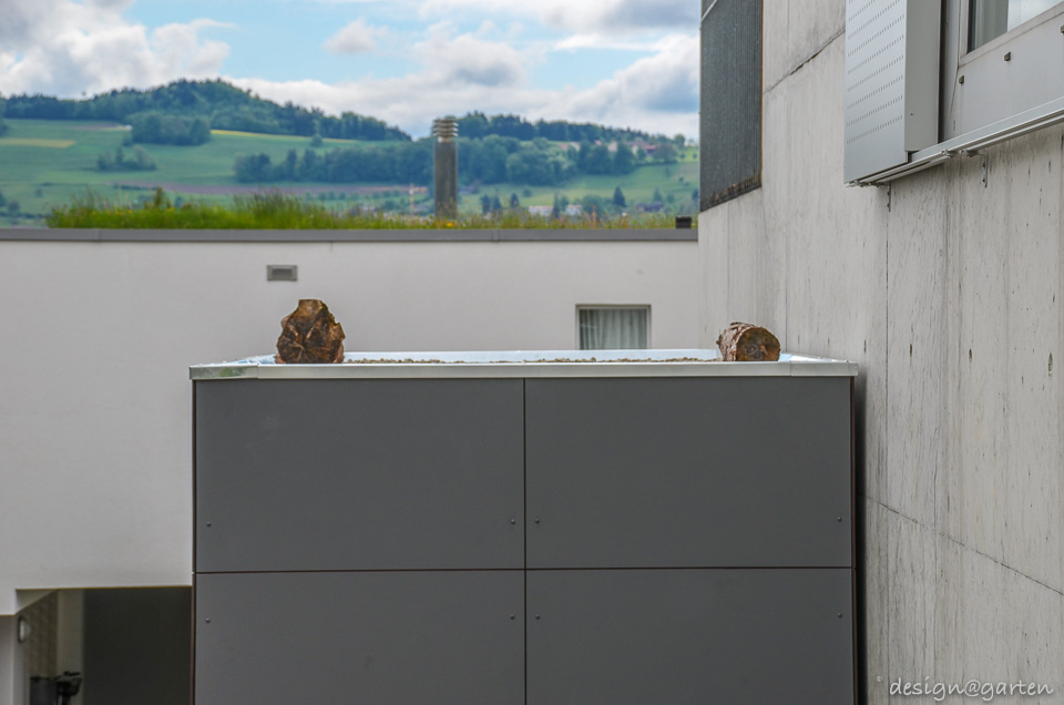 Custom-made in Switzerland: the custom-made designer garden shed