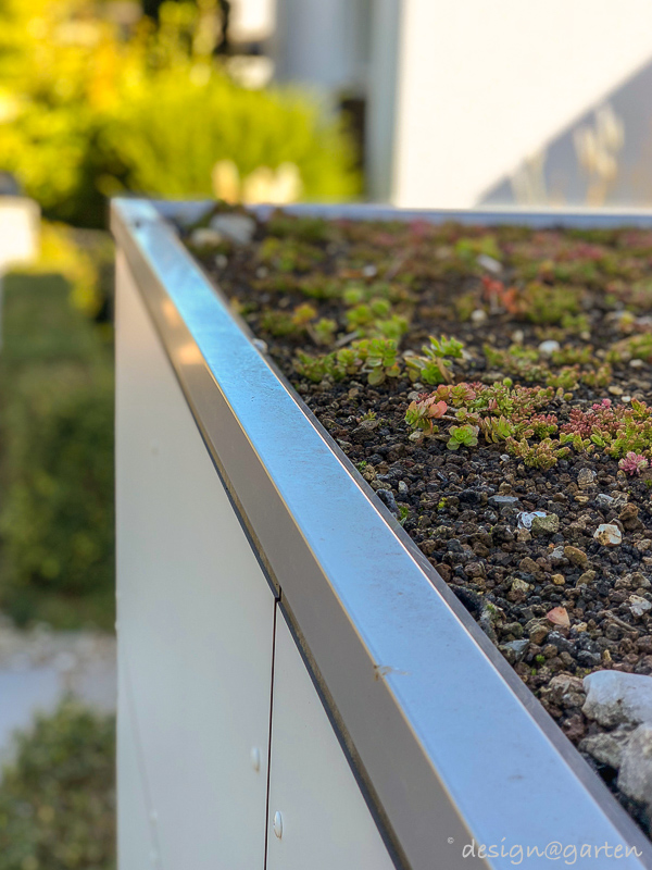 A green oasis in a small space: the modern tool shed with a green roof