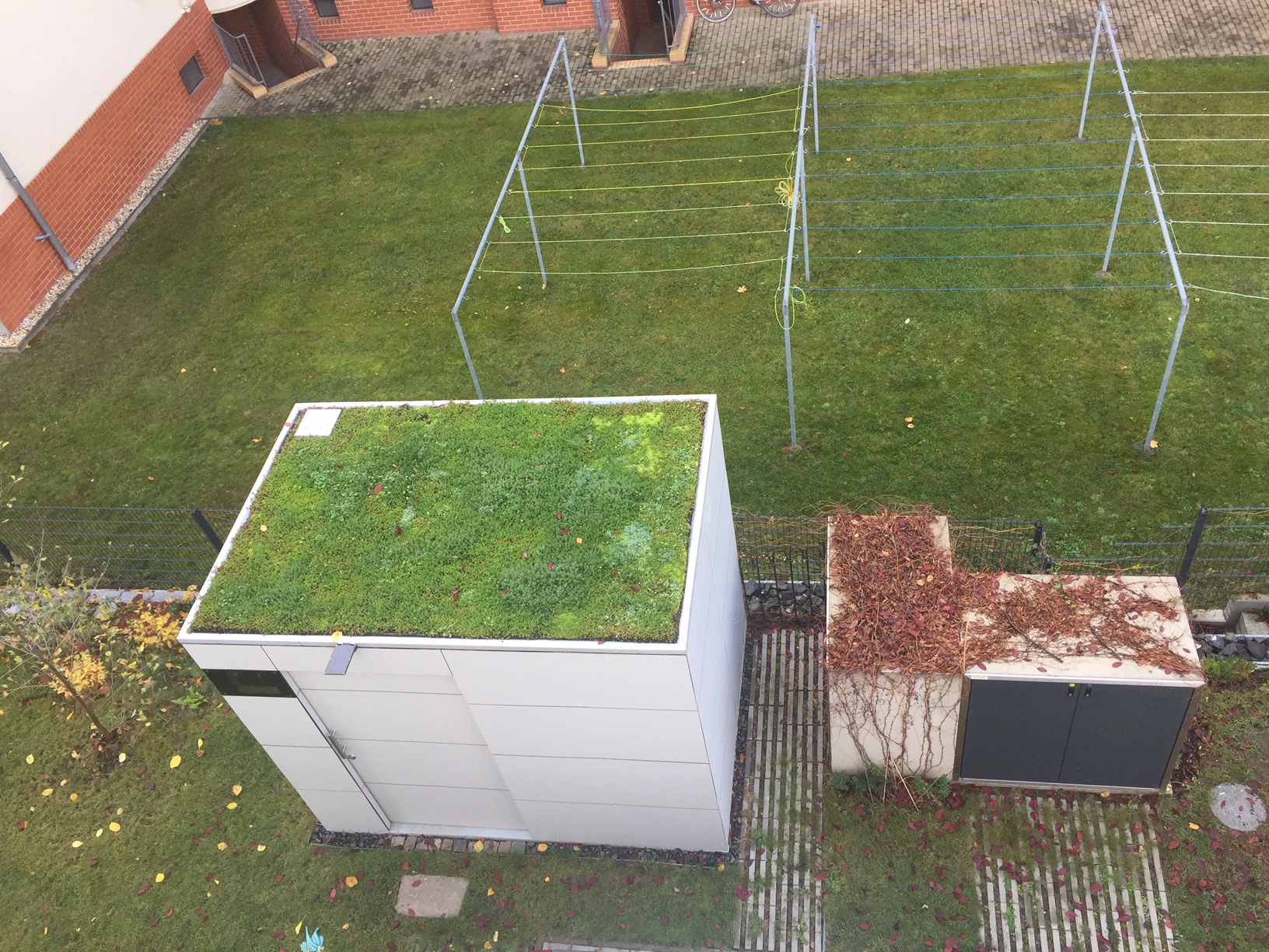 La claridad arquitectónica se une a la naturaleza: la moderna caseta de jardín con cubierta vegetal.