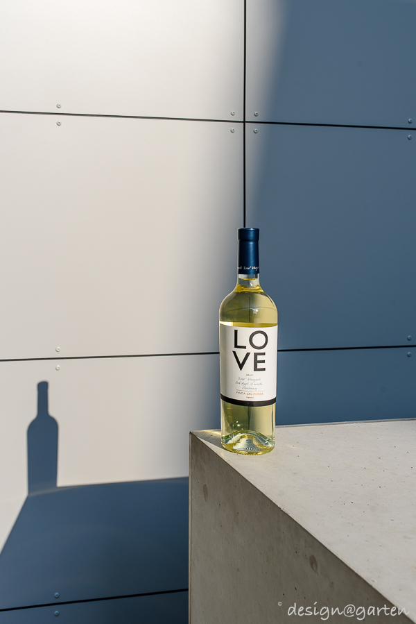 La claridad arquitectónica se une a la naturaleza: la moderna caseta de jardín con cubierta vegetal.