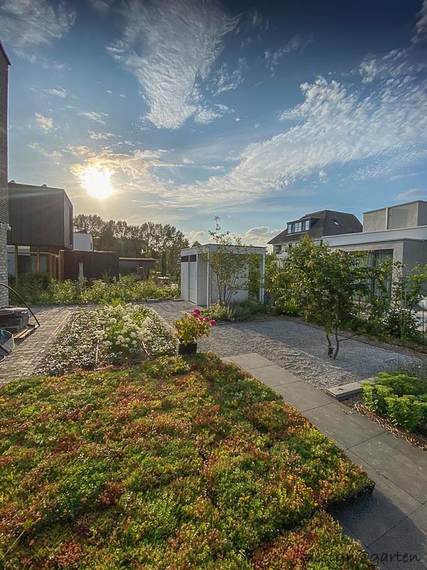 Abri de jardin design avec pergola à Nimègue, Pays-Bas