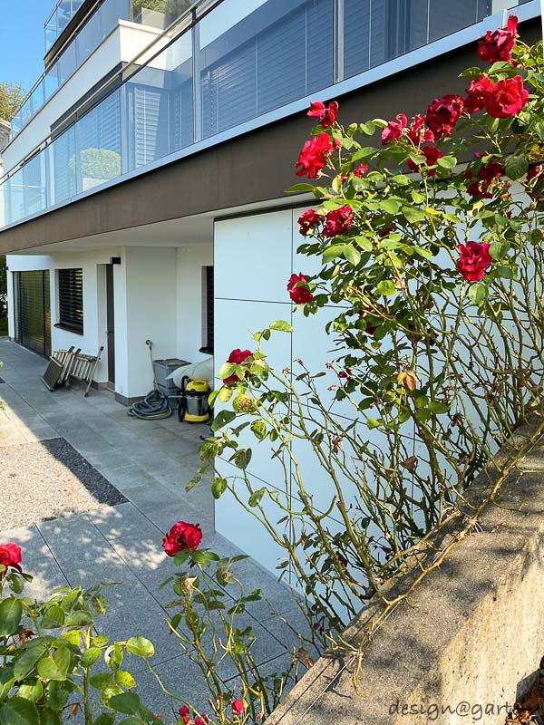 Casetta da giardino cubista con tetto piano come soluzione doppia sul Lago di Zurigo