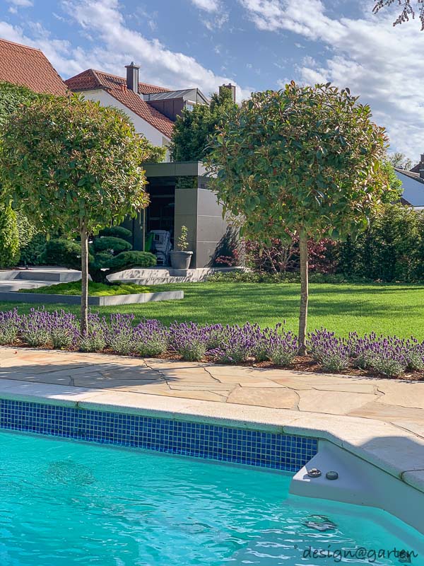 Relax e tranquillità in un giardino paradisiaco: un progetto armonioso nel suo insieme