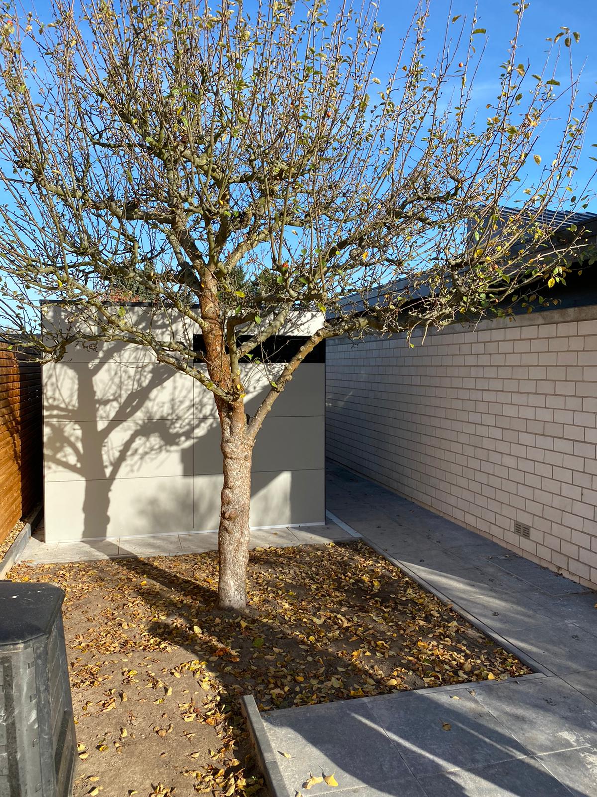 Moderno edificio da giardino: integrazione armoniosa e precisione tecnica